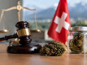 Cannabis en Suisse : point sur la réglementation et les règles à connaître