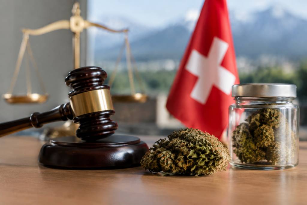 Cannabis en Suisse : point sur la réglementation et les règles à connaître
